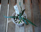 Top view of Hoya mirabilis Splash Plant 01 showing slender, dark green leaves with silver splash markings.