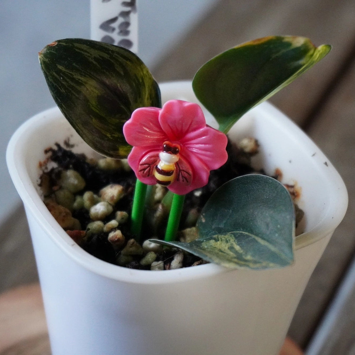 Close-up of Planty Joys decorative stem support featuring a pink flower with a bee design, held beside a small indoor plant.