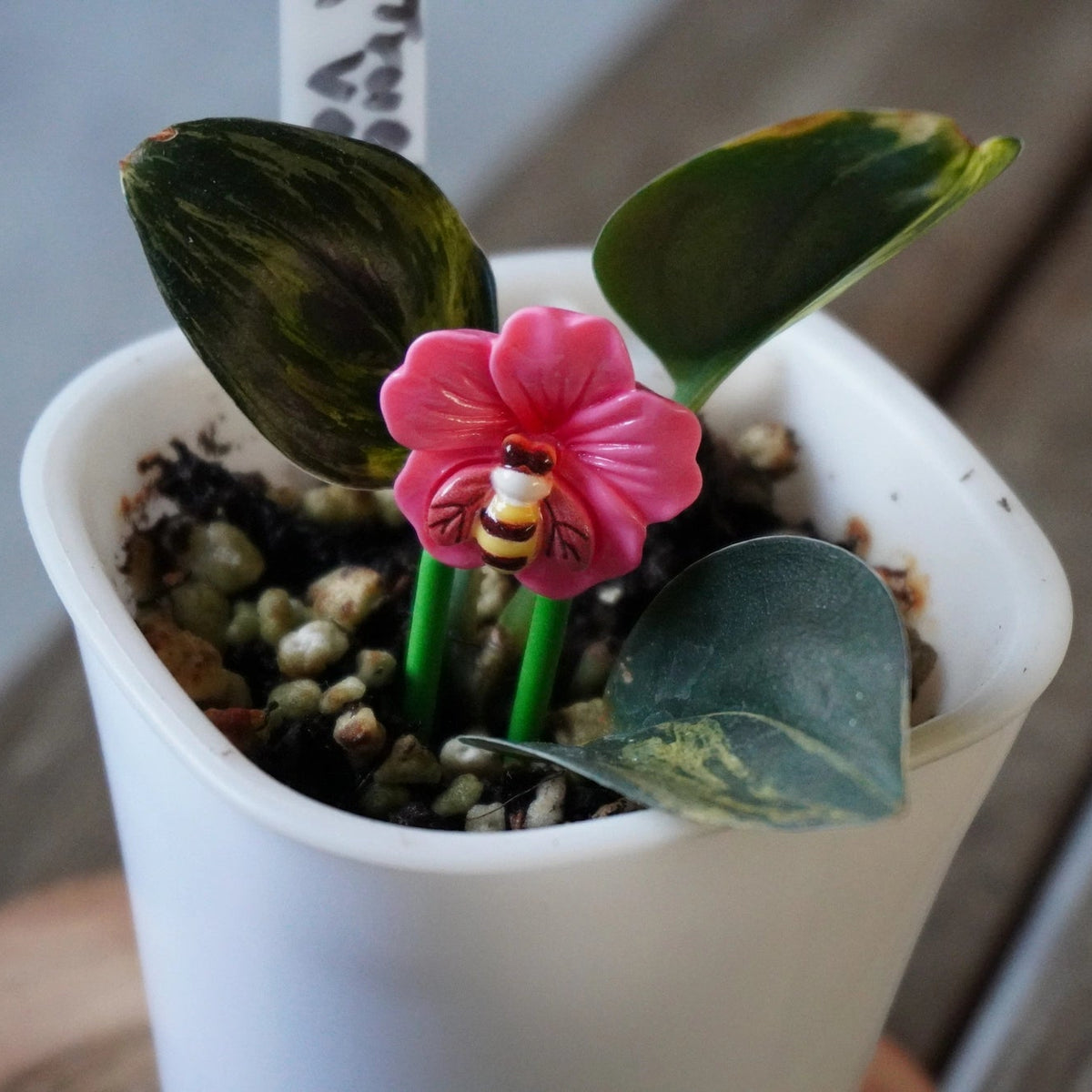 Pink flower and bee decorative stem support from Planty Joys positioned in a white pot with a small variegated indoor plant.